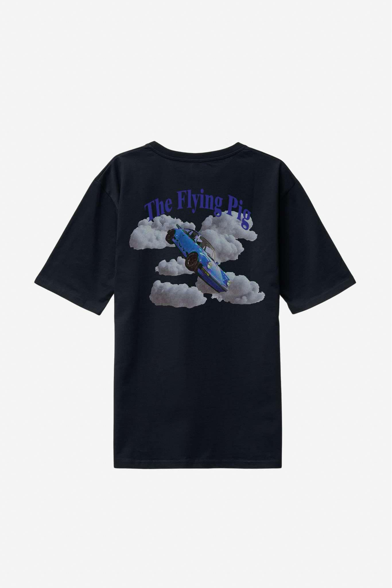Flying Pig